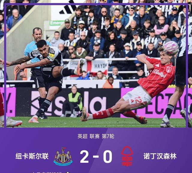 荷兰强势瑞士,哈兰德关键制胜 荷兰强势瑞士,哈兰德关键制胜