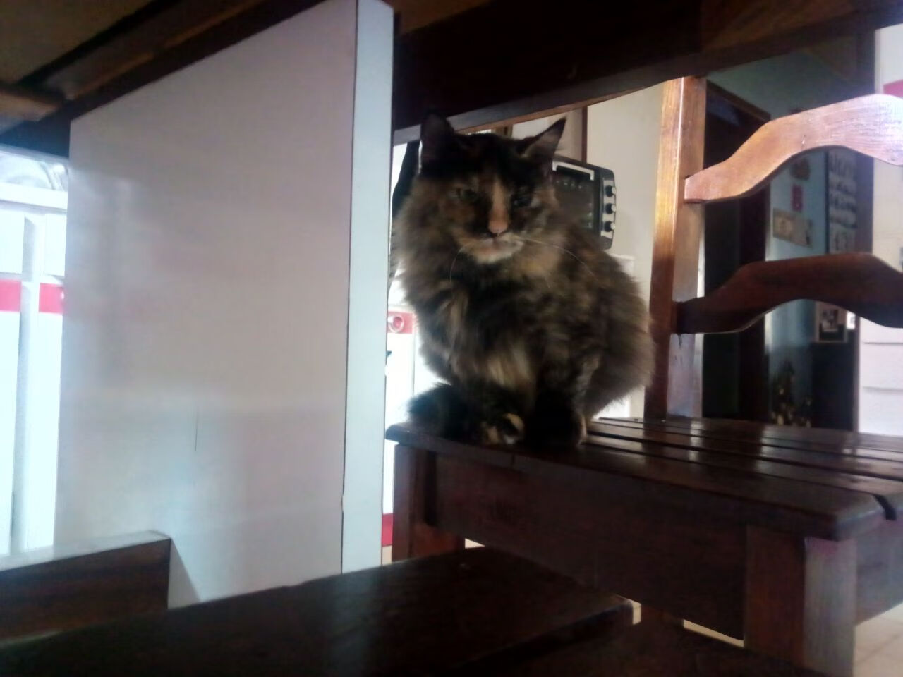 冷雨见证奇迹，CBA球队如何一夜击碎NBA骄傲