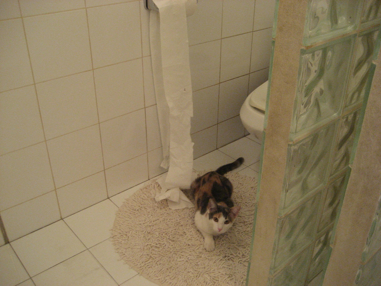 米切尔末节狂飙17分！浙江队惊魂险胜独行侠，中国面孔点燃NBA赛场