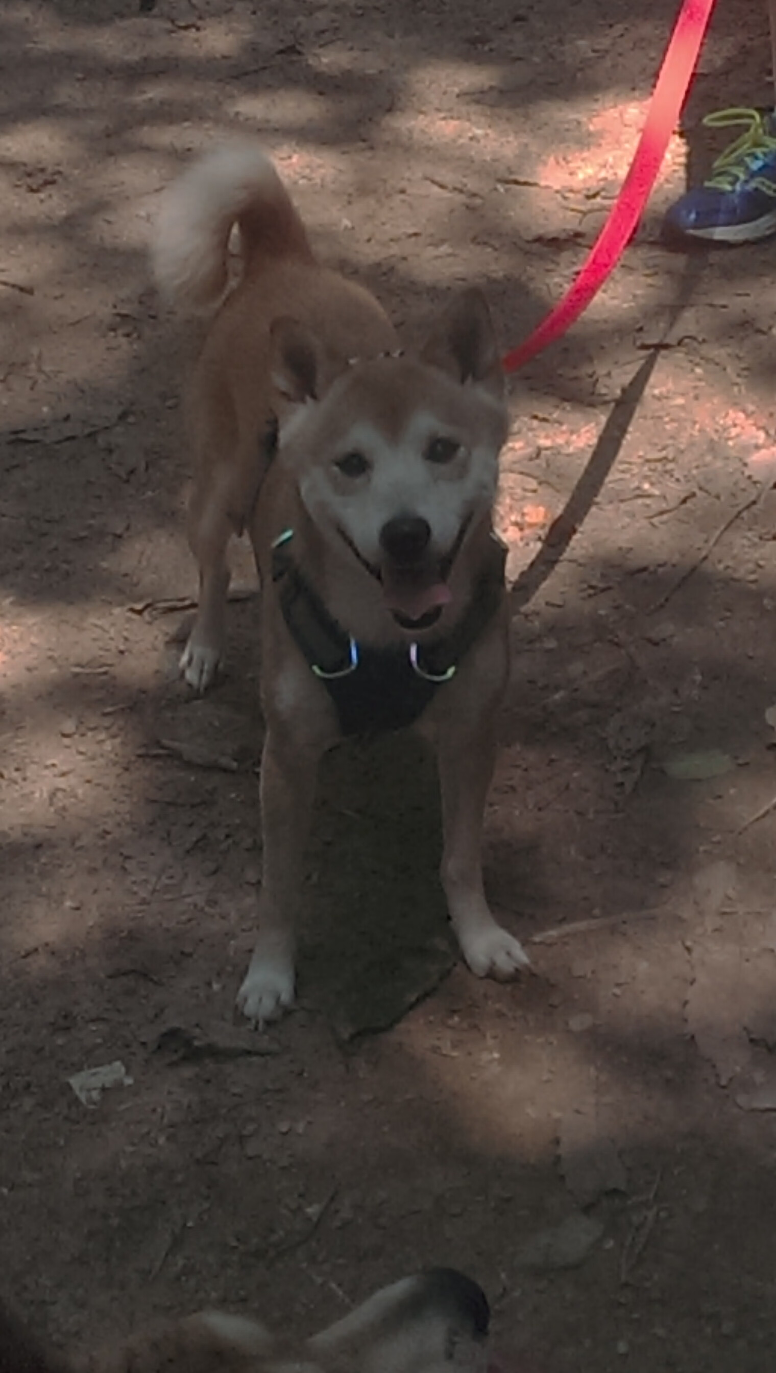 火箭升空！利拉德制导三分击穿费城夜空