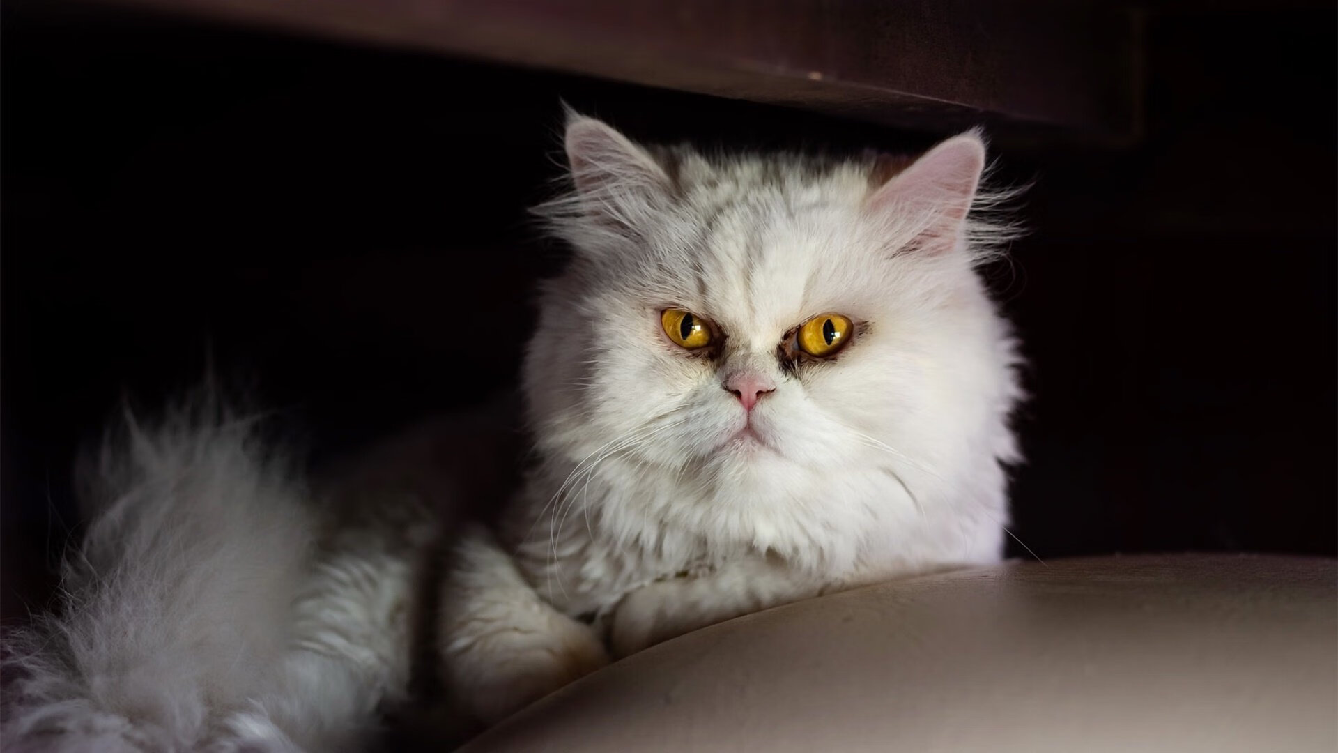 西亚卡姆制霸攻防两端，热火团队篮球轻取火箭