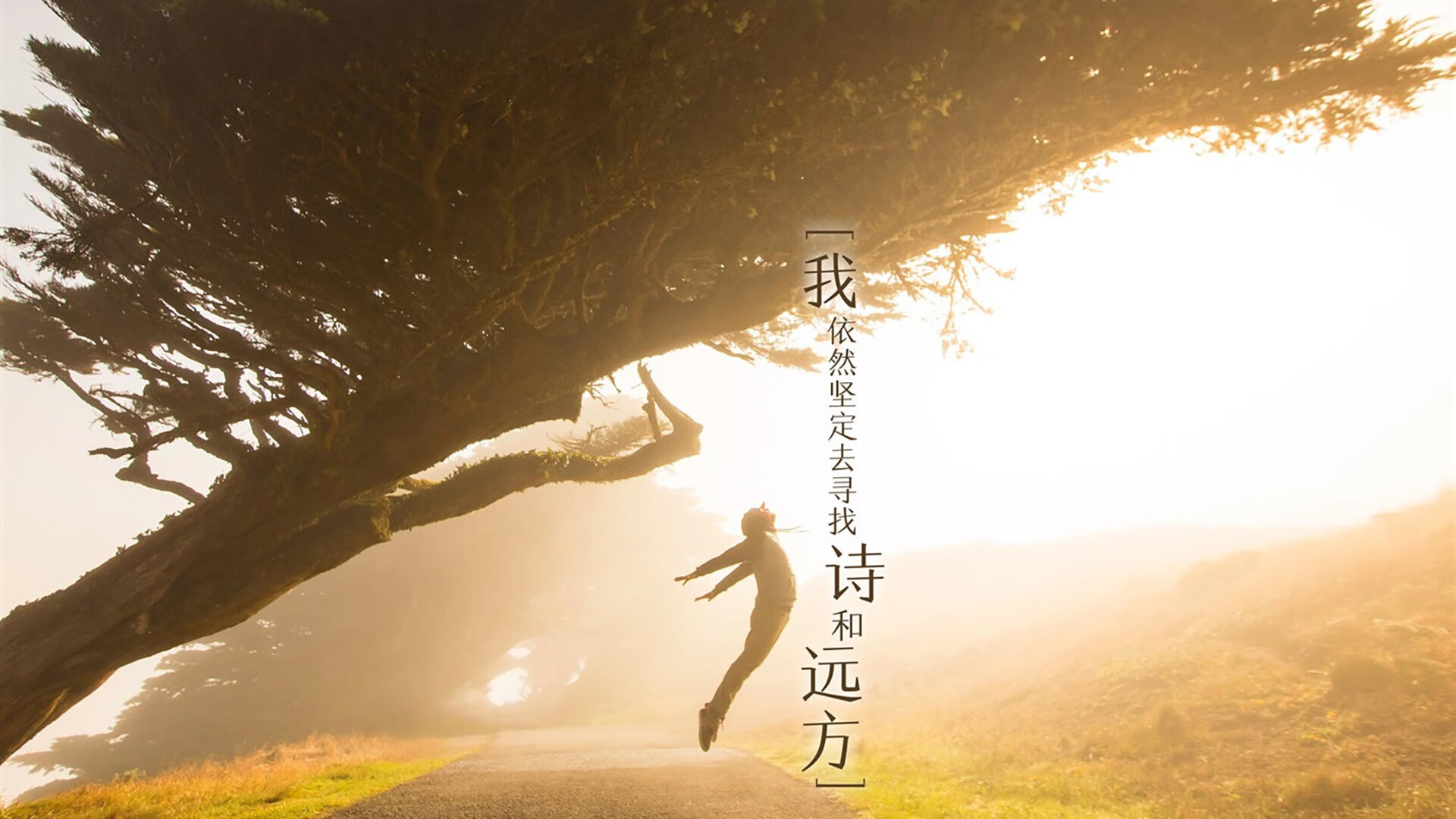 铁闸与利刃，门迪一夫当关，切尔西展现冠军级的正面碾压