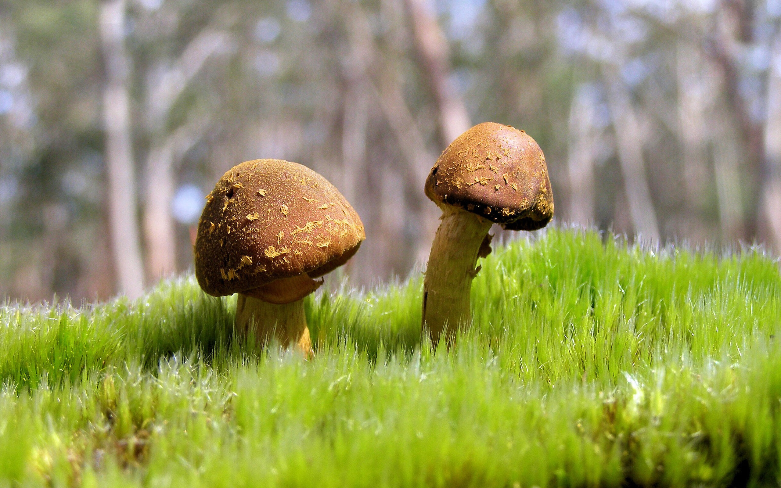 从王子公园到世界之巅，伊萨克与节奏掌控的艺术