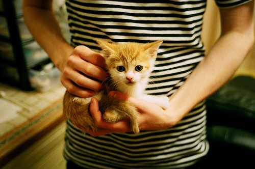 跨越太平洋的篮球叙事,当开拓者决胜吉林,伦纳德在世界杯点燃星火