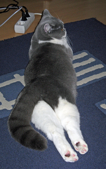 红牛风暴席卷南美，格列兹曼致命一击诠释何为一波带走