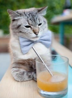 冰火两重天，滚烫的指尖何以托不起坠落的战局？