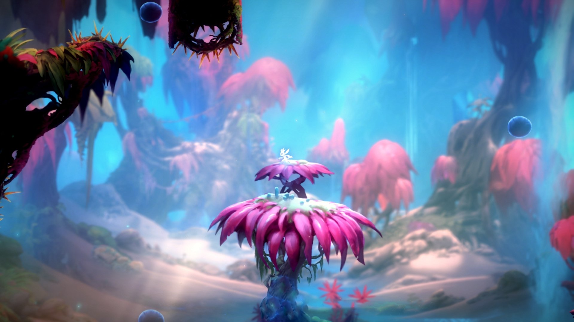 超越篮球的戏剧性,布克生涯之夜与马刺式绝杀的跨时空对话