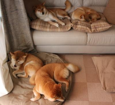 当NBA在英超登顶，体育世界的平行宇宙奇观