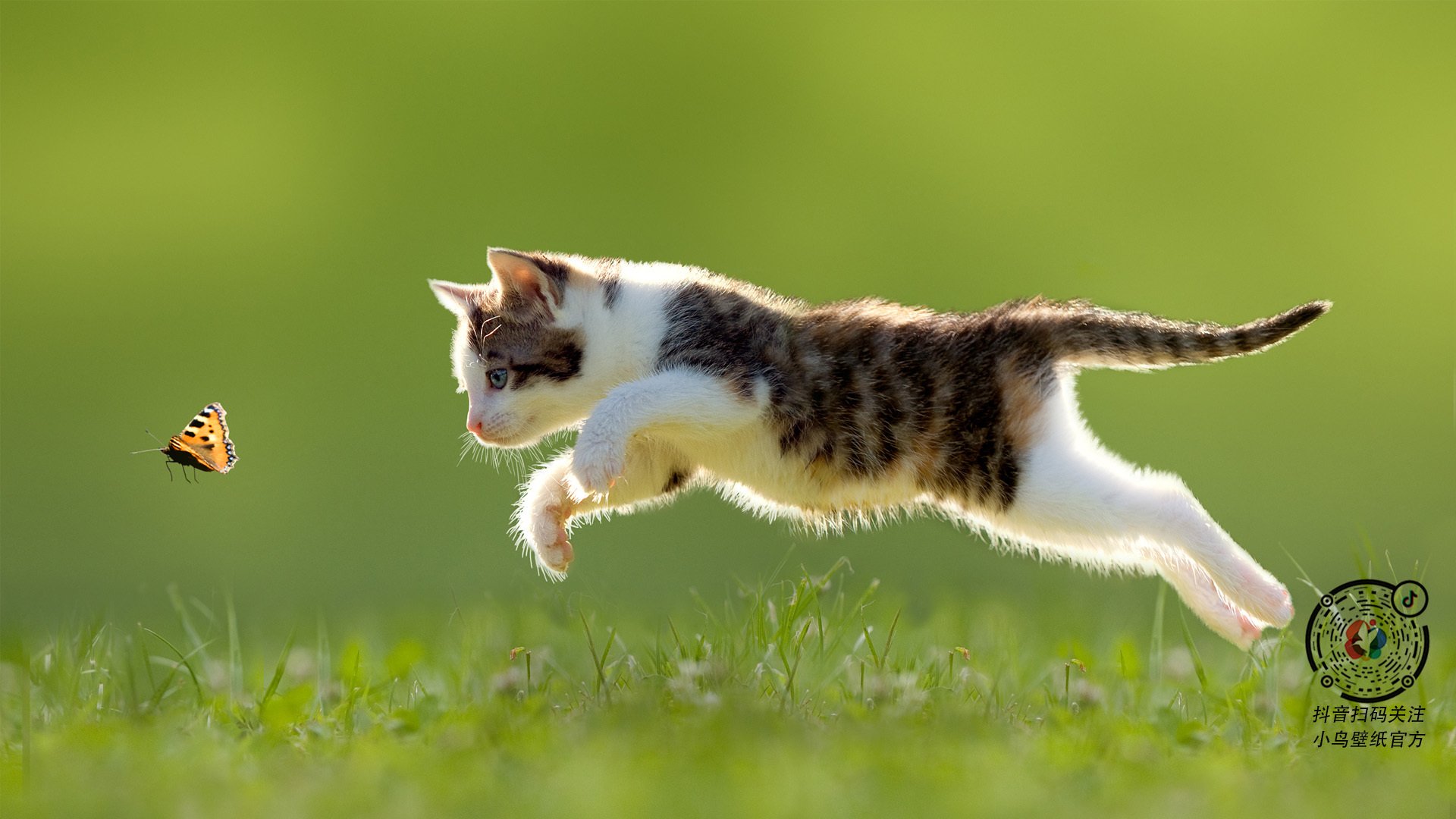 历史性复仇?那记被写入命运的任意球,如何扭转2026年世界杯的命运