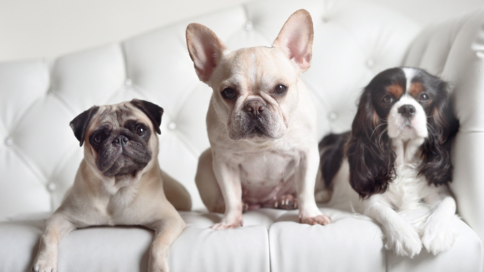 冰火交响曲,新疆火焰吞没菲尼克斯,伦纳德冰川下奏响冠军序章