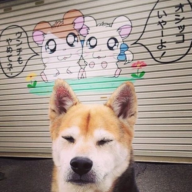 斗牛士之魂点燃尼罗河,加维关键回合一锤定音,埃及法老军团险胜塞维利亚